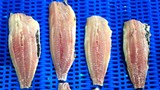 160 pix sardinella fillet